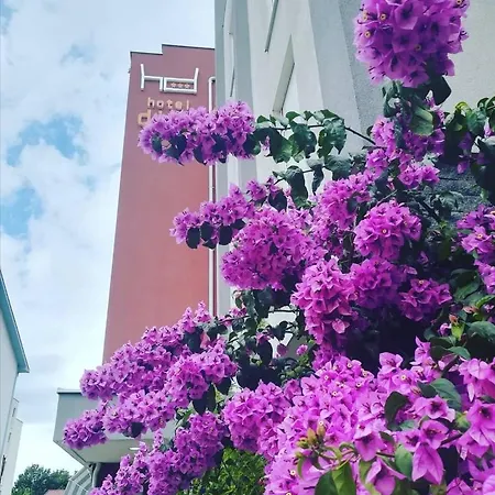 Hotel Dina 4*